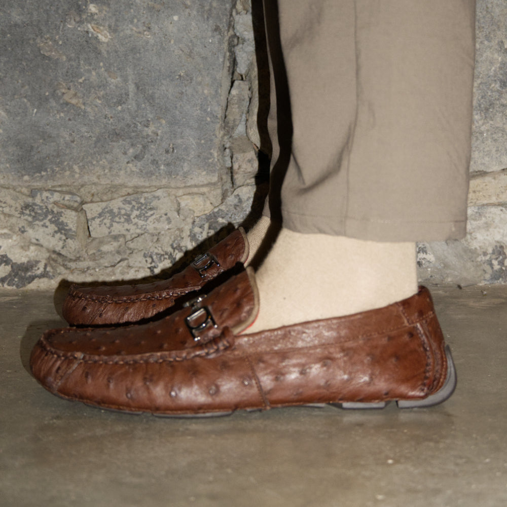 Bolonia Brown