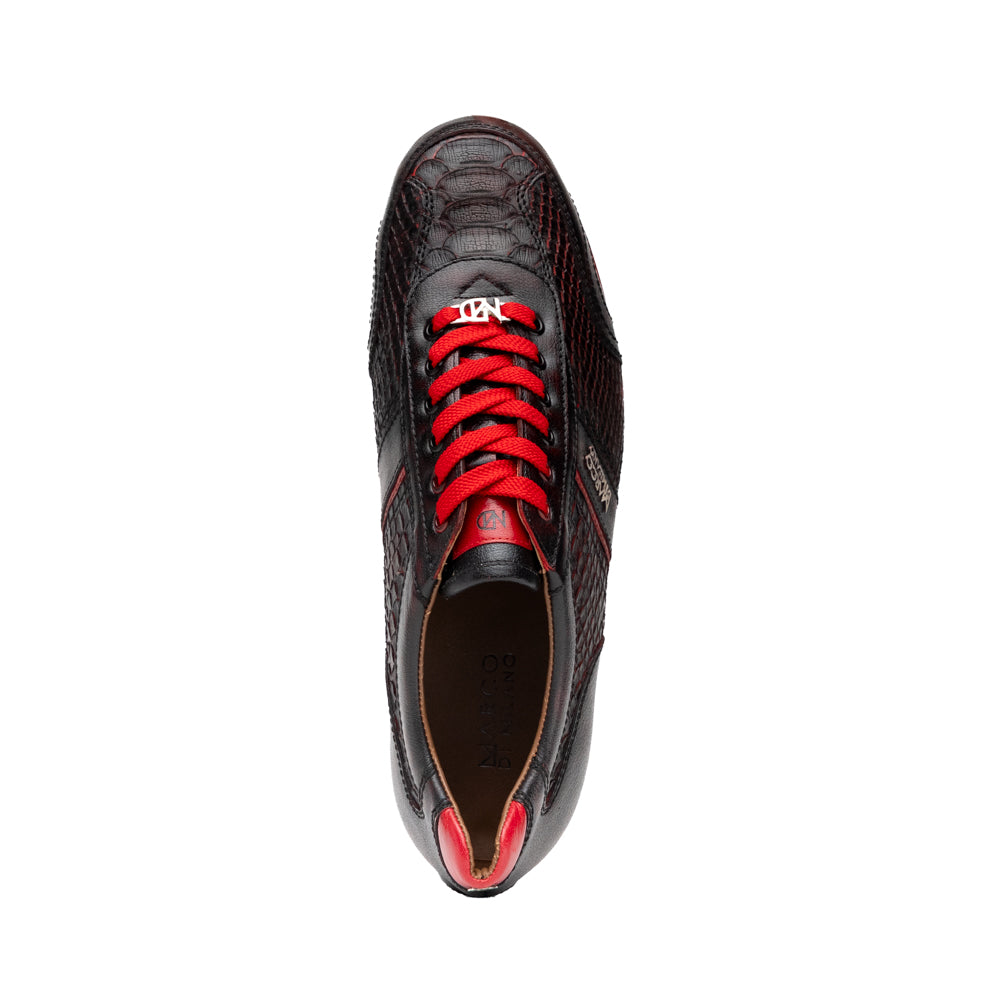 Pavia BlackCherry