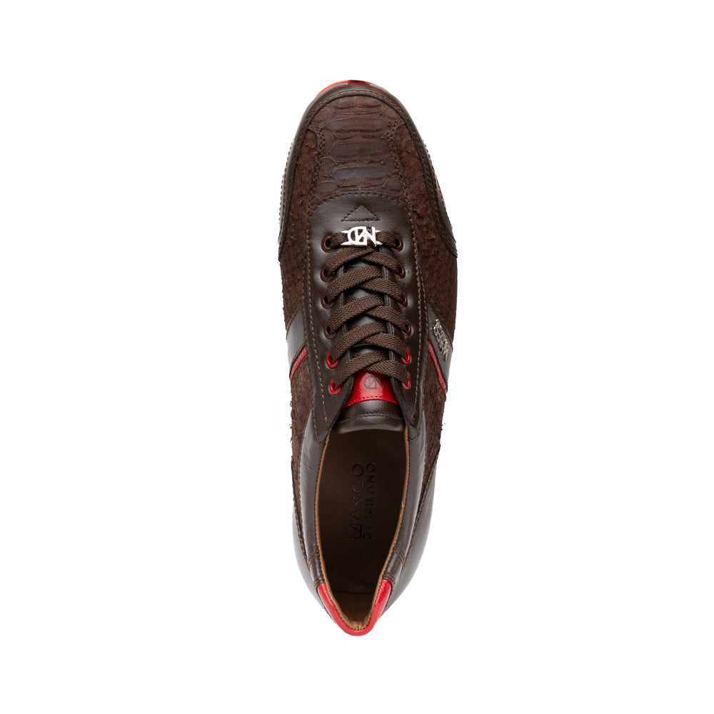 Pavia Brown