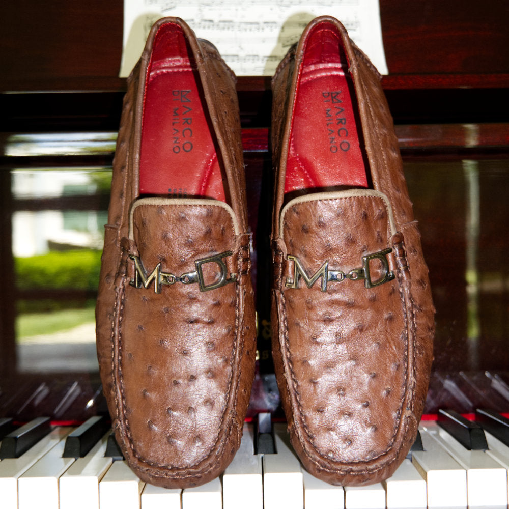 Bolonia Brown