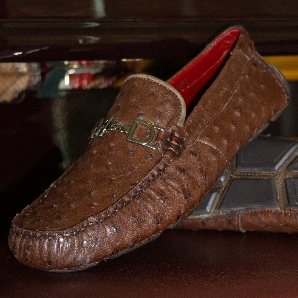 Bolonia Brown