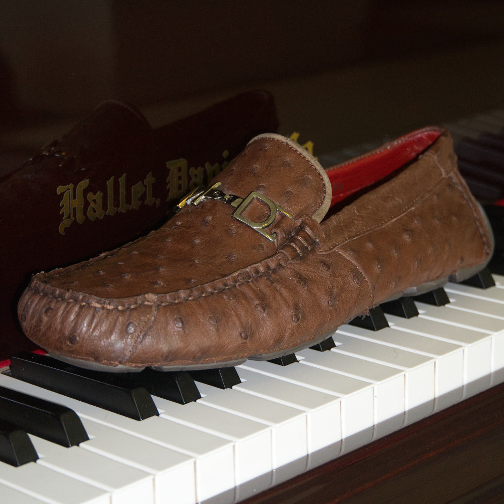 Bolonia Brown