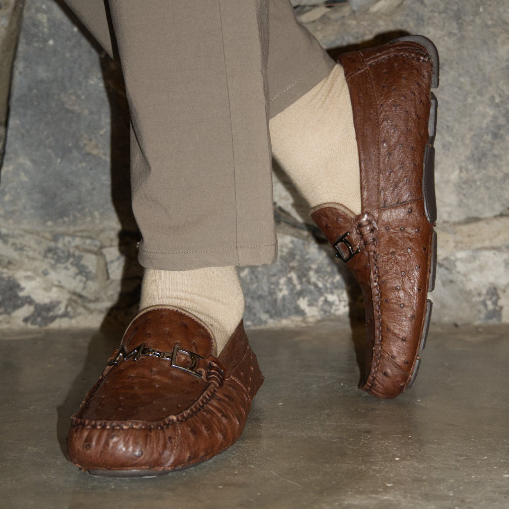Bolonia Brown