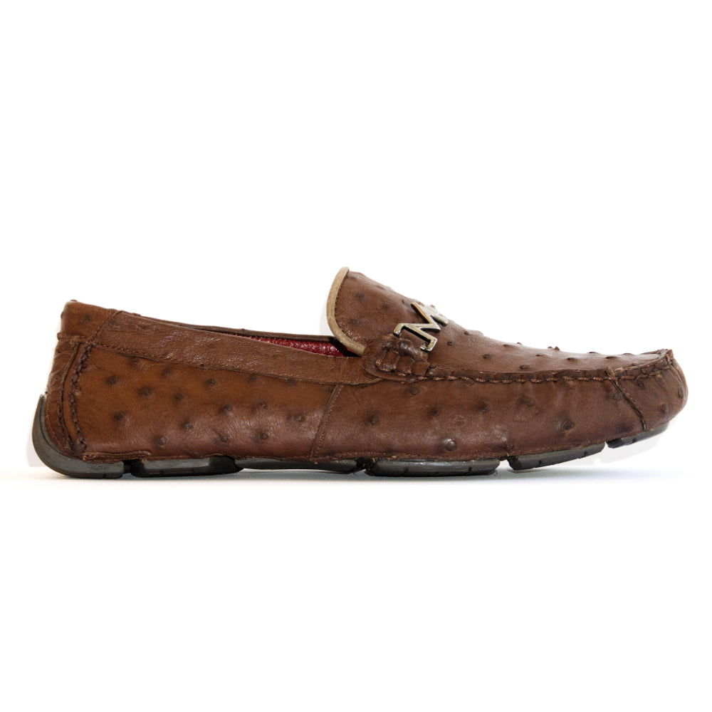 Bolonia Brown