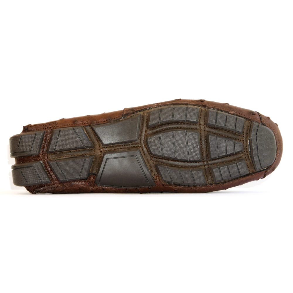 Bolonia Brown