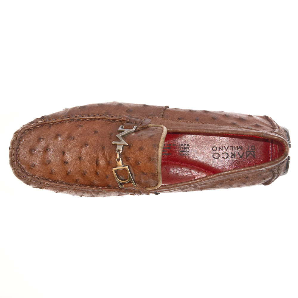 Bolonia Brown