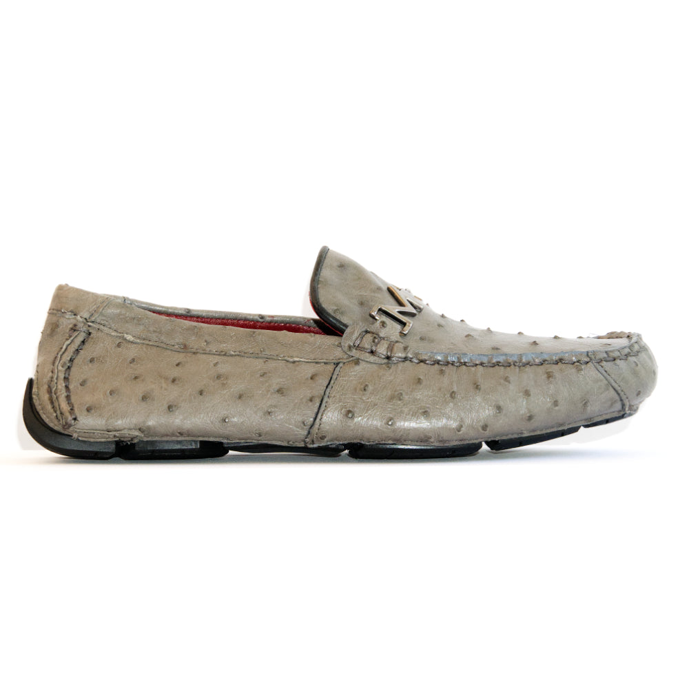 Bolonia Gray