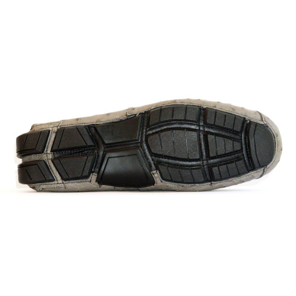 Bolonia Gray