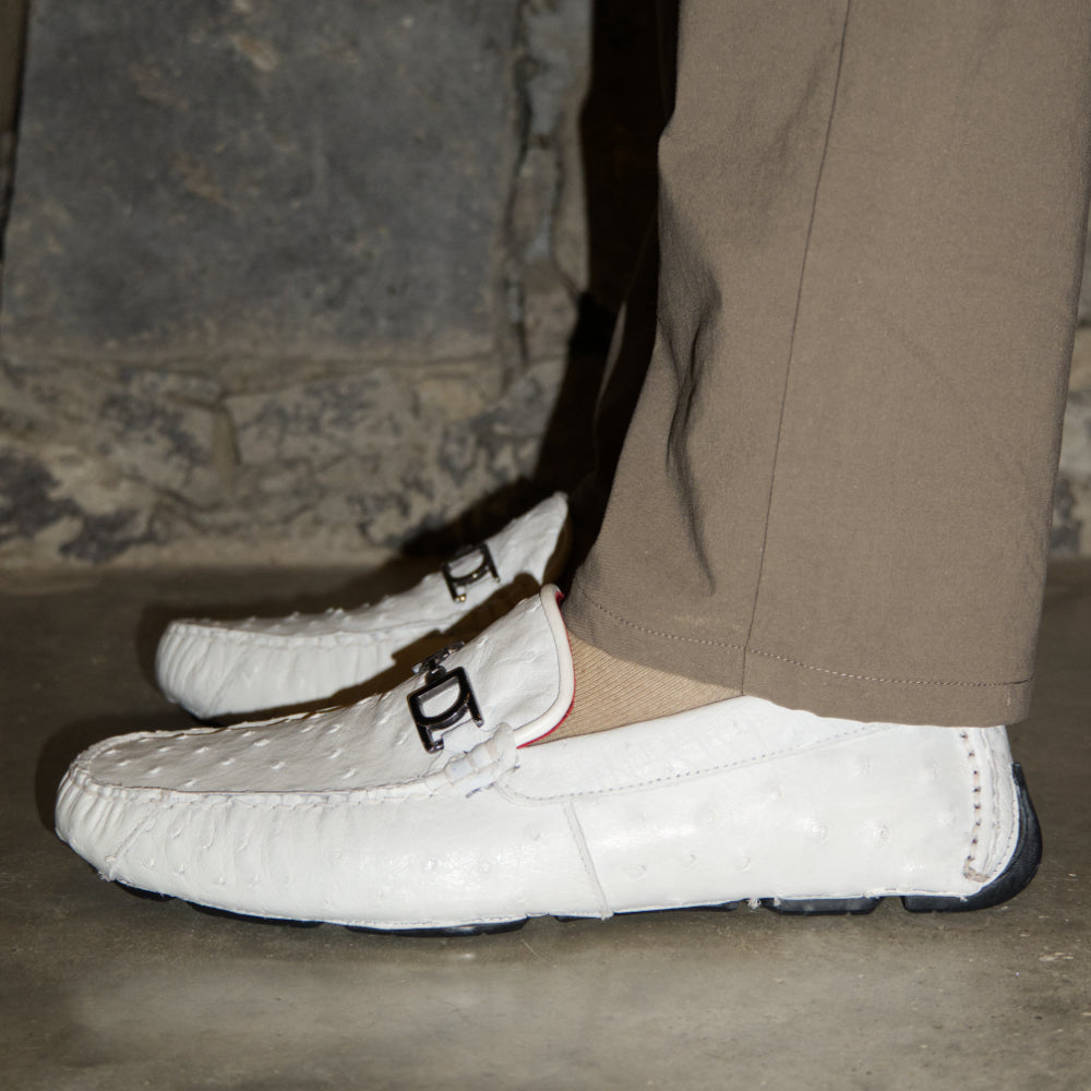 Bolonia White