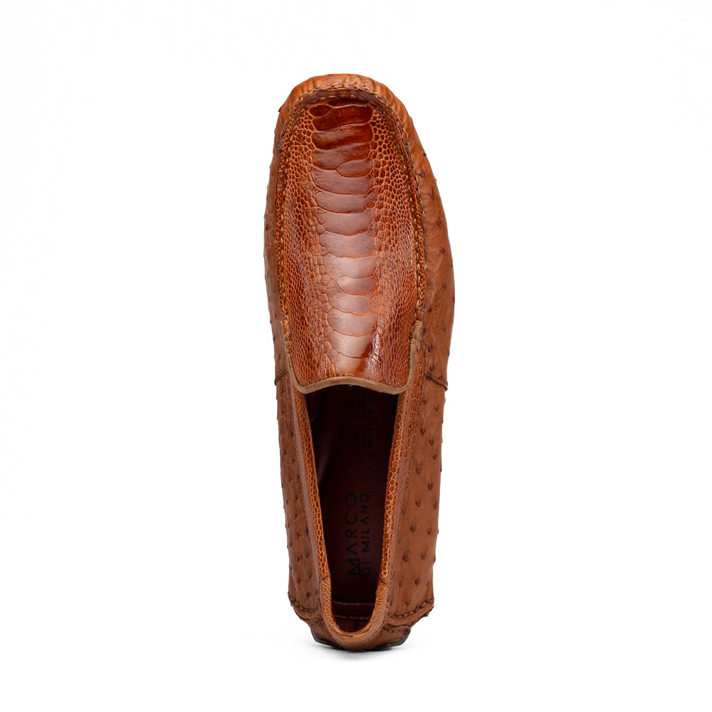 Alba Brandy