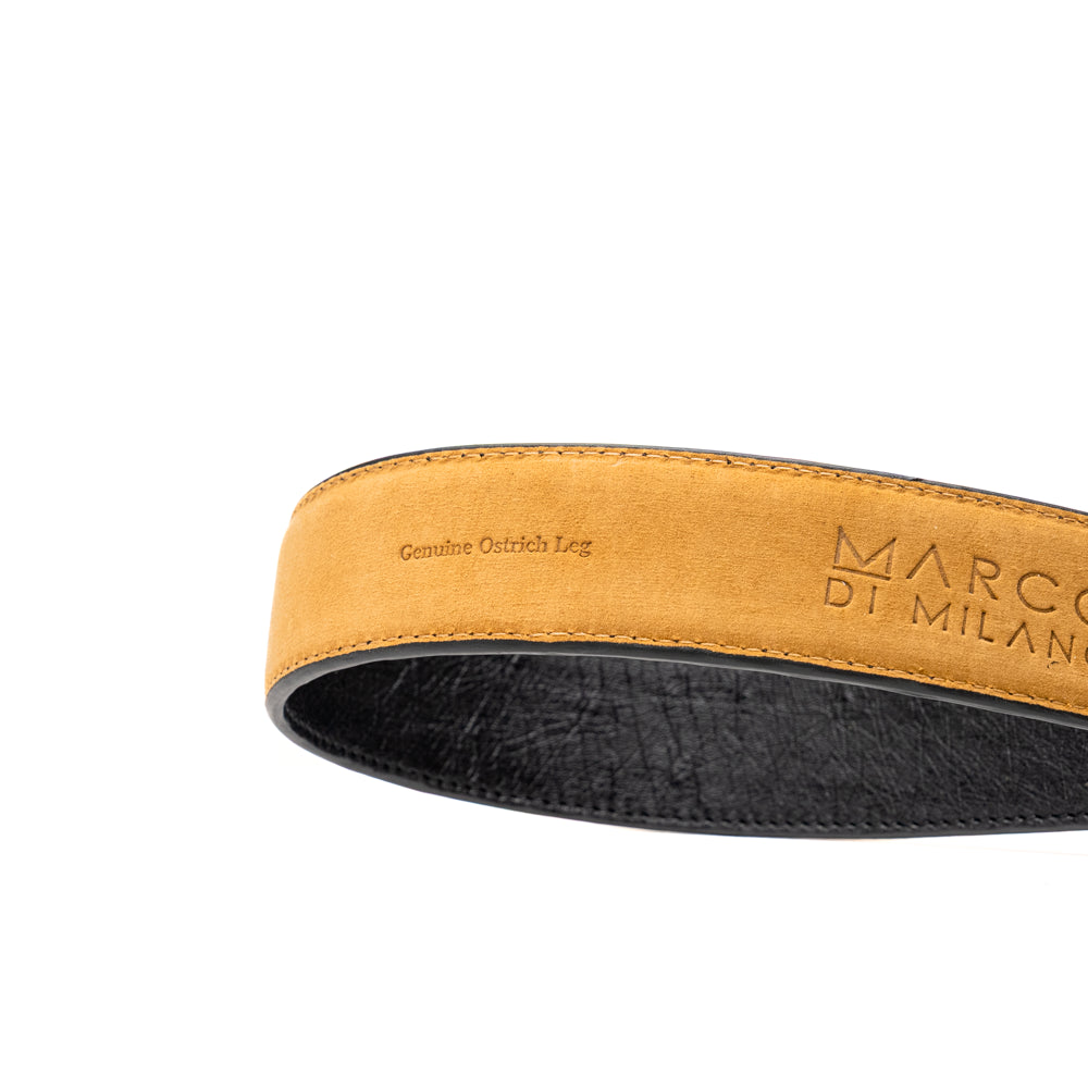 Alessio Belt Black