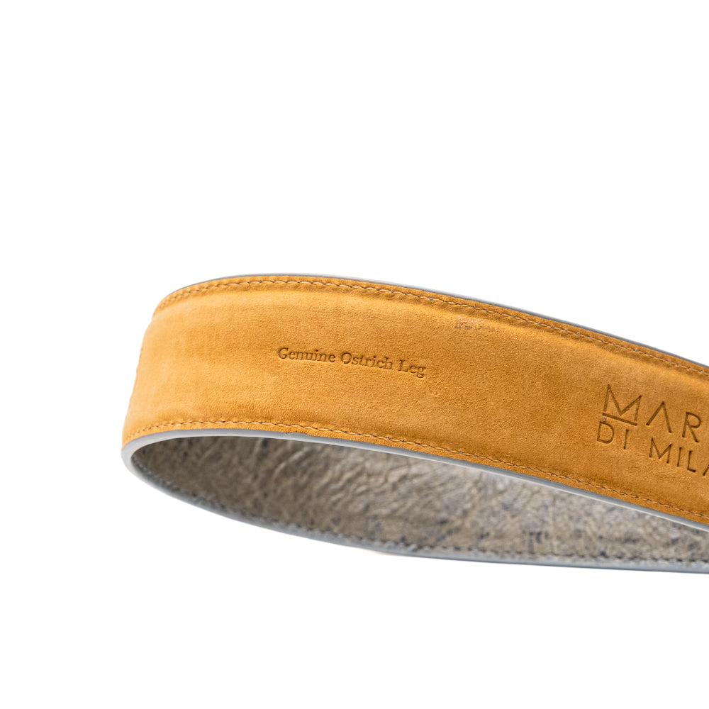 Alessio Belt White / Gray