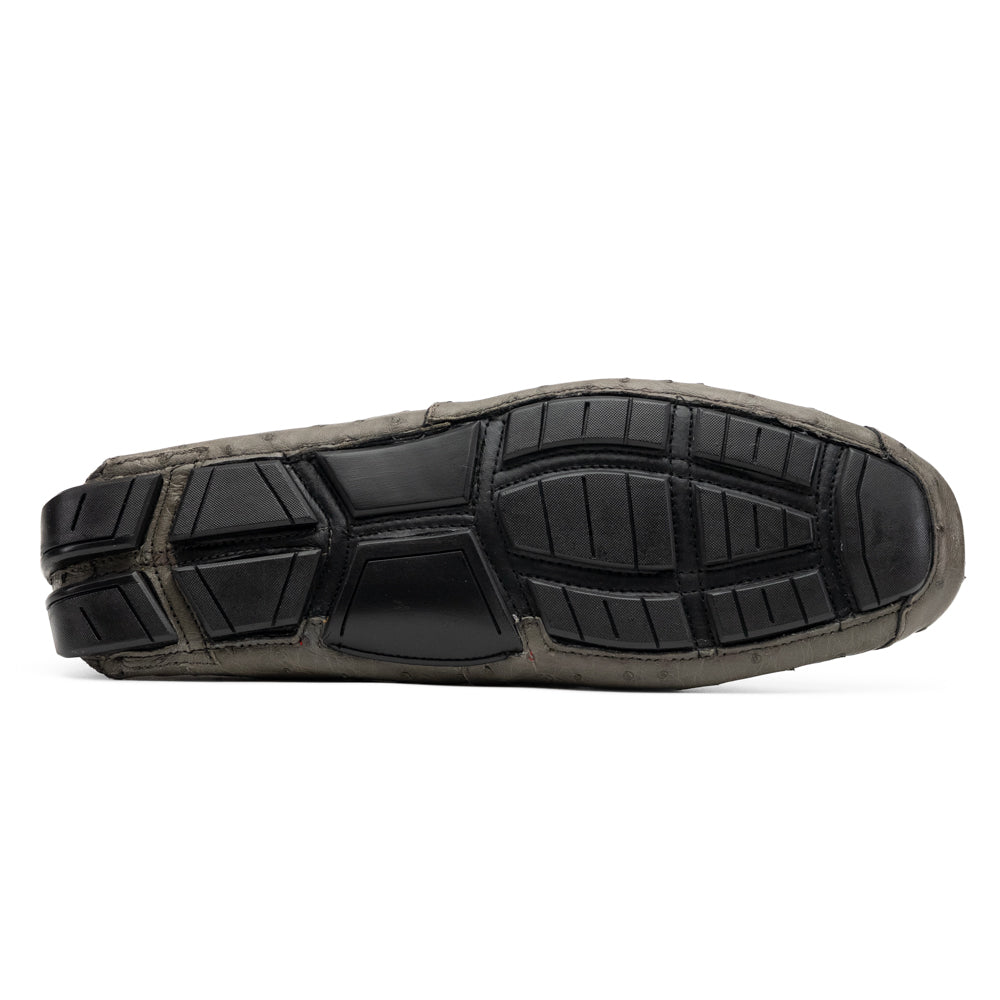 Bolonia Gray