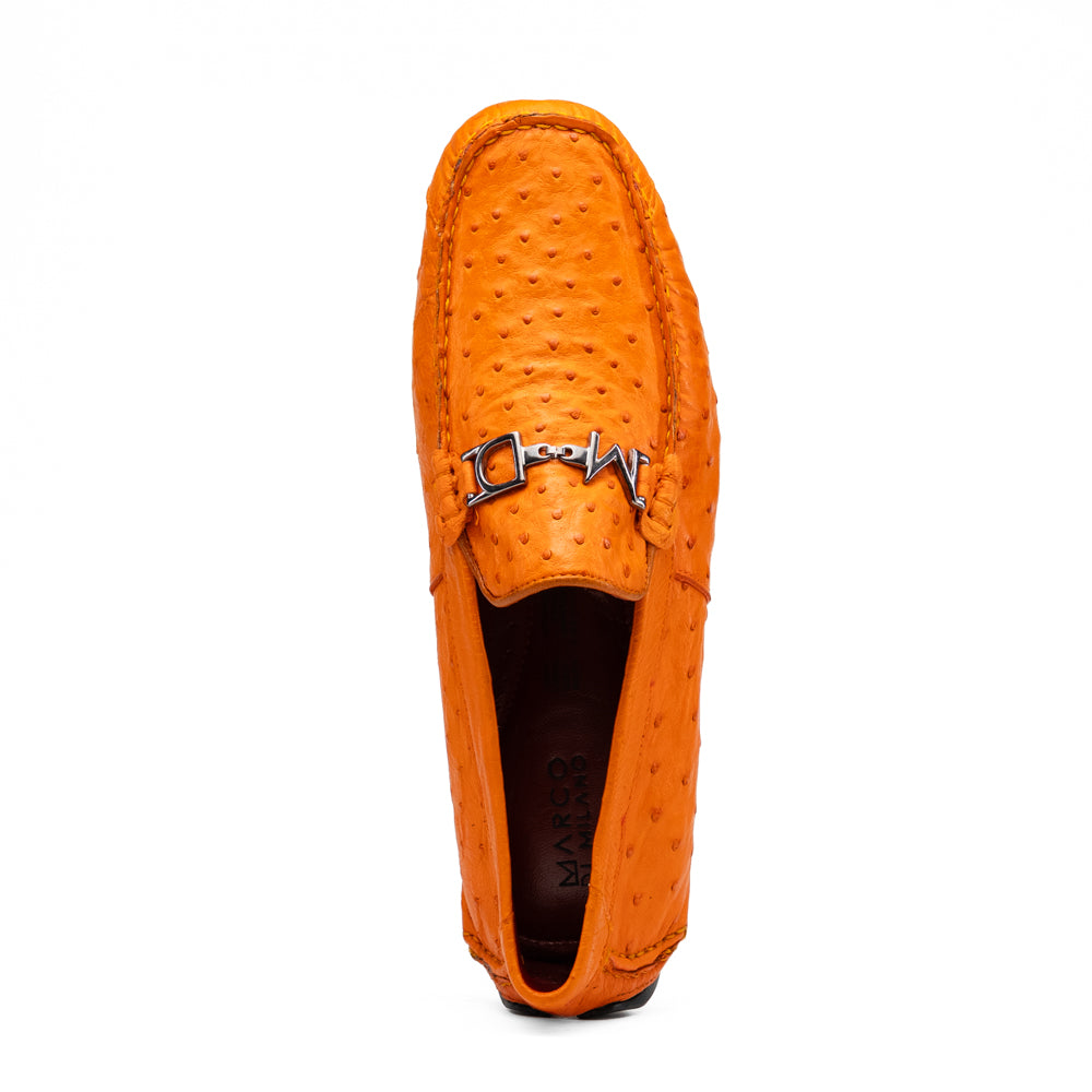 Bolonia Orange