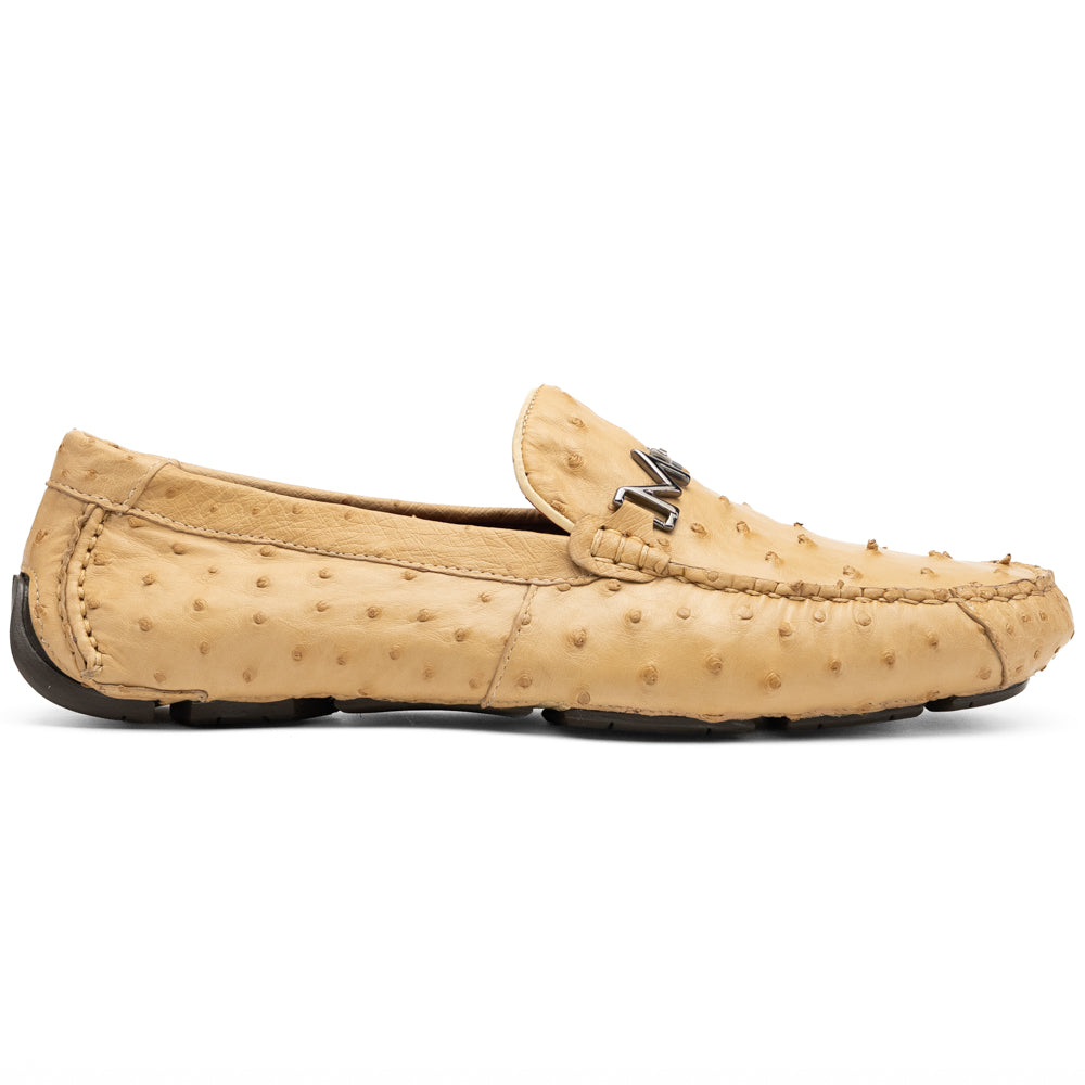 Bolonia Orix