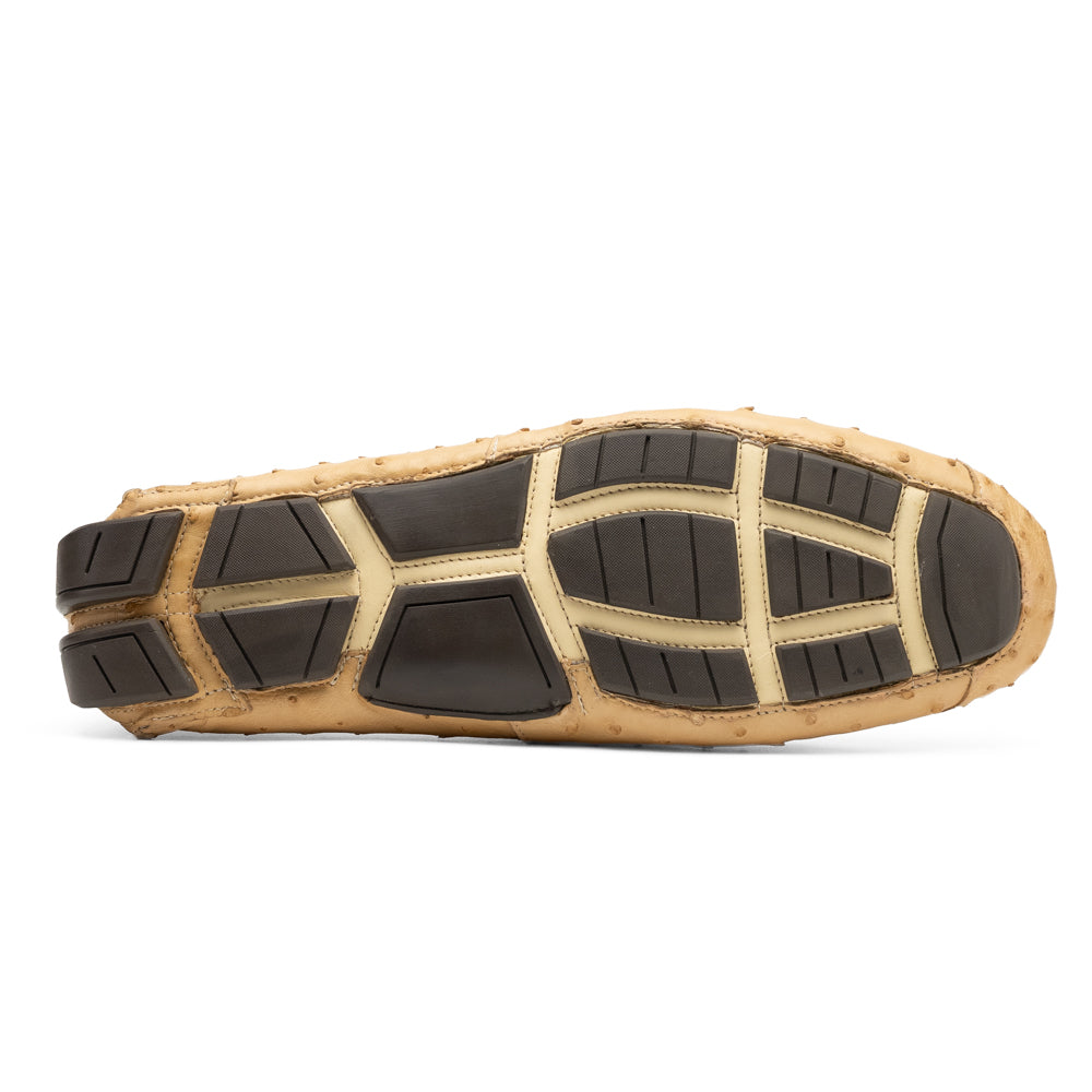 Bolonia Orix