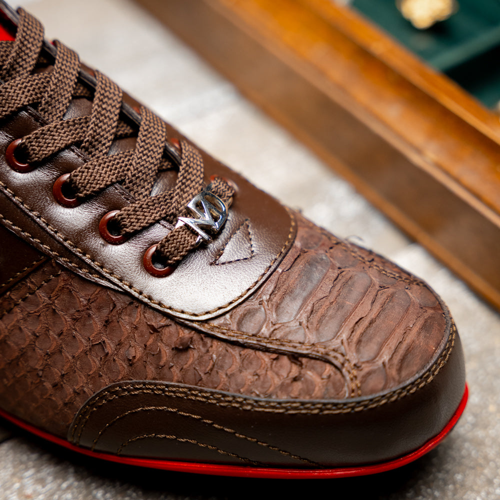 Pavia Brown