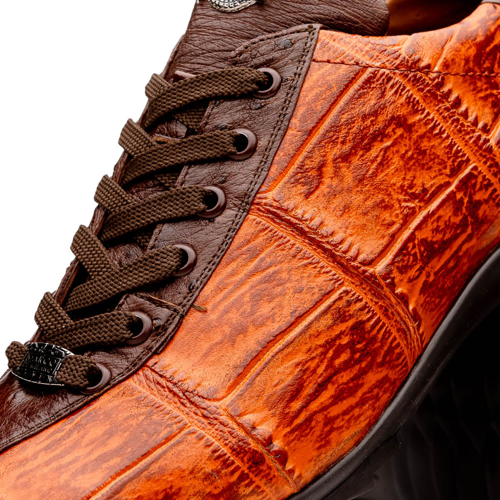 Saulo Brandy / Brown