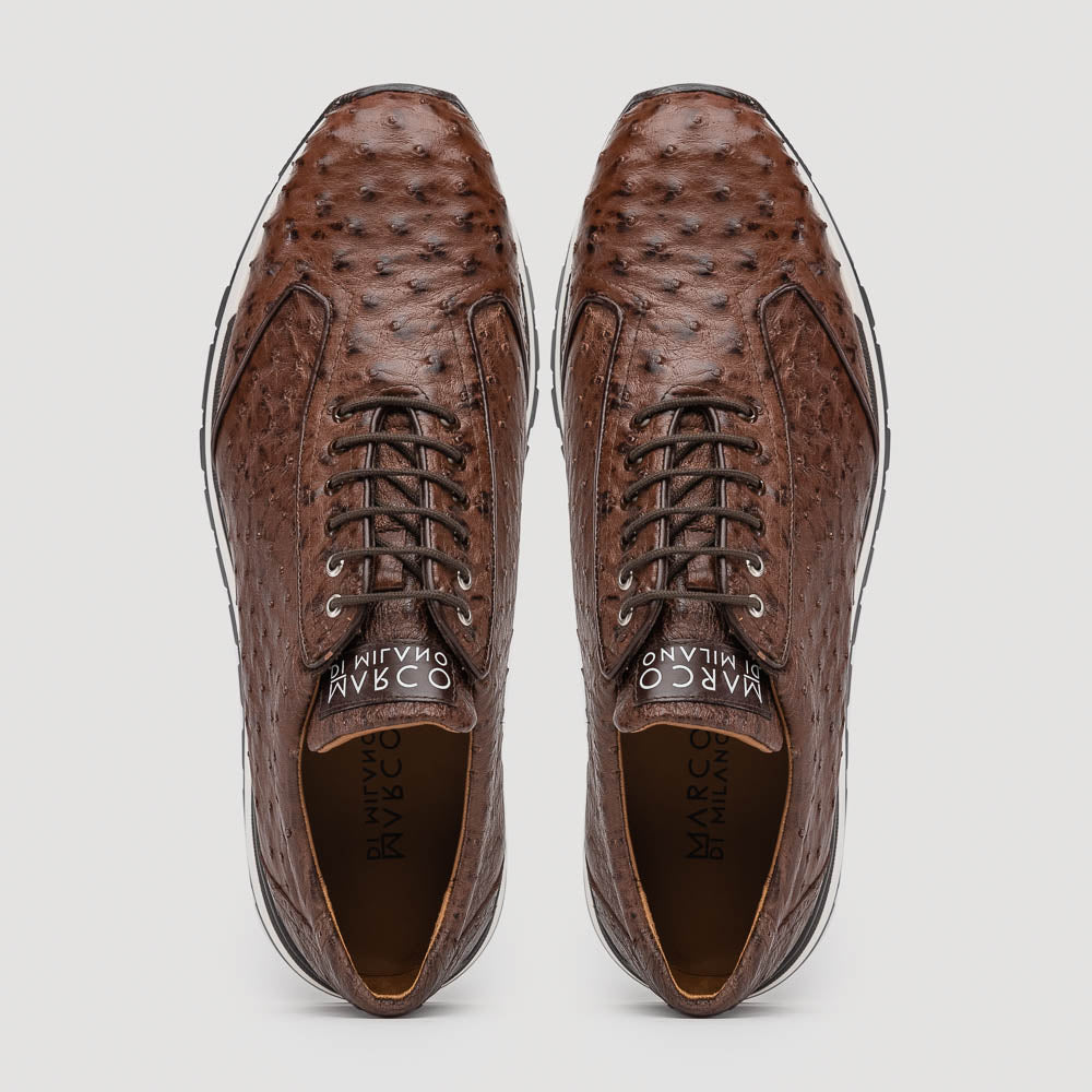 Scanno Brown