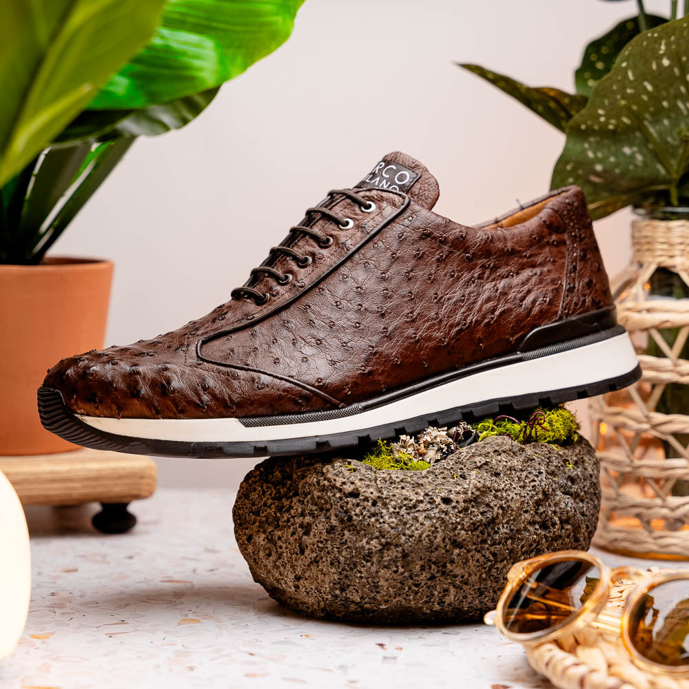 Scanno Brown